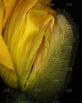 /headphoto/574145.jpg