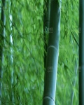 /headphoto/583550.jpg