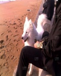 /headphoto/598647.jpg