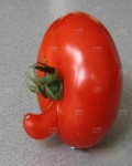 /headphoto/675651.jpg