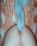 /headphoto/736561.jpg