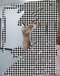 /headphoto/773195.jpg