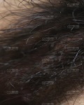 /headphoto/785674.jpg