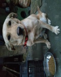 /headphoto/817359.jpg