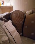/headphoto/833497.jpg