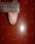 /headphoto/886607.jpg