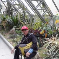 /photo/57190/我的照片/深圳仙湖植物_1_1_small.jpg