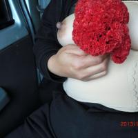 /photo/577724/我的爱妻/cimg1813_1_3_small.jpg