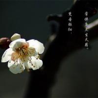 /photo/581096/品性高雅/11_1_5_small.jpg