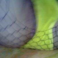 /photo/583612/我的原创/.jpg_1_13_small.jpg