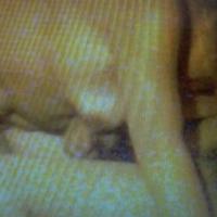 /photo/601819/我老婆/1366440699336_1_10_small.jpg