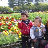 /photo/602876/32344/53ms2cahw0ei6caqif53_1_4_small.jpg