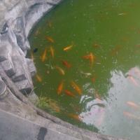 /photo/614112/我的相册/img_20120819_100436_1_1_small.jpg