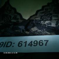 /photo/614967/我的相册/imag0213_1_2_small.jpg