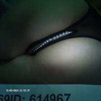 /photo/614967/我的相册/imag0220_1_3_small.jpg