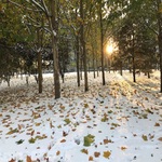 /photo/627694/第一次偷发老婆/9b3df434-f374-4a38-8ec5-13e887dde696_1_2_small.jpg