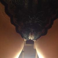 /photo/631886/性感的/image_1_4_small.jpg