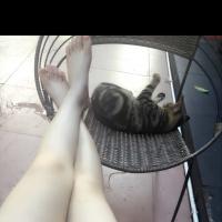 /photo/633424/自己。/image_1_4_small.jpg