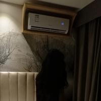 /photo/633607/恩爱的一对/img_20171001_234419_1_2_small.jpg