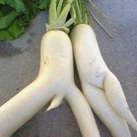 /photo/639262/人与人/2000_1_1_small.jpg