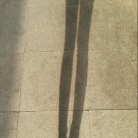 /photo/654987/135246/original_tyou_18a100_1_3_small.jpg
