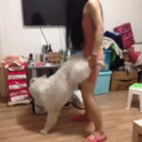 /photo/656176/我的宝贝/3_fd3eb550f8c233cbfc_1_1_small.jpg