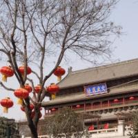 /photo/656636/过年西安玩/003_1_12_small.jpg