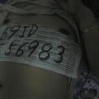 /photo/656983/大倪夫妻/psb3_1_3_small.jpg