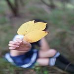 /photo/661231/放课後の少女/dsc01364_1_2_small.jpg