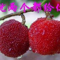 /photo/661348/我自己/未命名_1_1_small.jpg