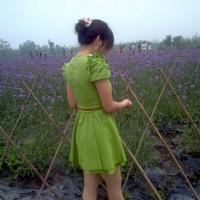 /photo/661428/夫妻照片/qq图片201309230817_1_11_small.jpg