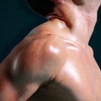 /photo/678105/肌肉男/1_1_1_small.jpg