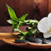 /photo/679476/dengshan/spa104_1_5_small.jpg