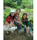 /photo/68154/我那性感风骚的老婆/0901122236ced474c726daad0b_1_8_small.jpg