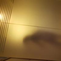 /photo/687957/杂念籍/20160326_151714_1_7_small.jpg