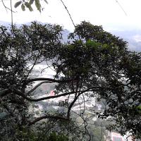 /photo/688347/金鸡山之旅/img_20121110_150226_1_6_small.jpg