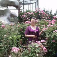 /photo/700677/老婆以前旅游的照片/psbcal7x6sg_2_9_small.jpg