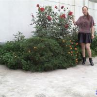 /photo/700677/老婆以前旅游的照片/psbcaupojf7_1_15_small.jpg