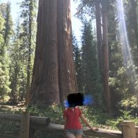/photo/718240/看看/8a295f20-6a80-4520-bfd8-9ff6e16_1_6_small.jpg