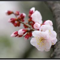 /photo/733826/主题/image_1_7_small.jpg