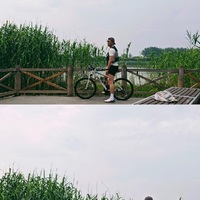 /photo/736903/蘑菇本菇/1211686924537_.pic_hd_1_2_small.jpg