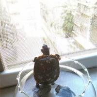 /photo/746468/随心所欲/img_1630_1_1_small.jpg