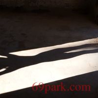 /photo/768644/海南露出/微信截图_20200919100318_1_5_small.jpg