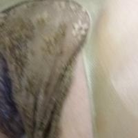 /photo/774473/骚逼/img_4992_1_1_small.jpg