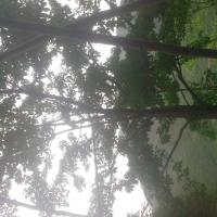 /photo/777438/自己/img_20140612_171553_1_2_small.jpg