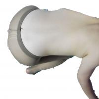 /photo/777613/老婆想看看有多少人评论/p1040142_1_10_small.jpg