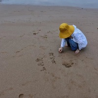 /photo/784133/ID/1382d6ef-7f0f-4d21-b2c4-007bbe37149d_1_1_small.jpg