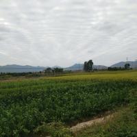 /photo/784877/老婆/mmexport1478306665307_1_4_small.jpg