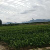 /photo/784877/老婆/mmexport1478306667594_1_5_small.jpg