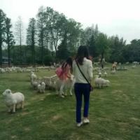 /photo/785621/妻子旅游/002_1_5_small.jpg
